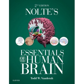 Nolte's Essentials of the Human Brain E-Book (ebook)