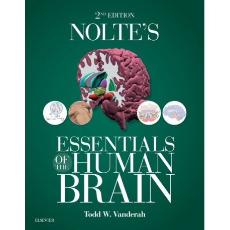 Nolte's Essentials of the Human Brain E-Book (ebook) - Envío Gratuito