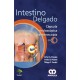Intestino Delgado - Envío Gratuito