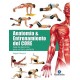 Anatomía & Entrenamiento del CORE. Guía de Ejercicios para un Torso Perfecto - Envío Gratuito