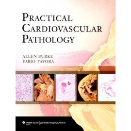 Practical cardiovascular pathology