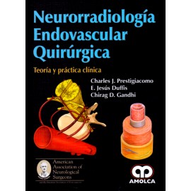 Neurorradiología Endovascular Quirúrgica Teoría y práctica clínica