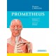 Prometheus. Póster de Anatomía: Huesos y músculos - Envío Gratuito