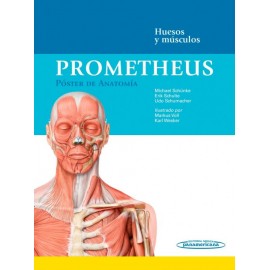 Prometheus. Póster de Anatomía: Huesos y músculos