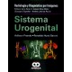 RDI. Sistema Urogenital - Envío Gratuito