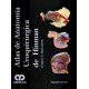 Atlas de anatomía uroquirurgica de hinman - Envío Gratuito