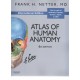 Atlas of Human Anatomy - Envío Gratuito