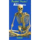 Pocket Master. Atlas de Anatomía - Envío Gratuito
